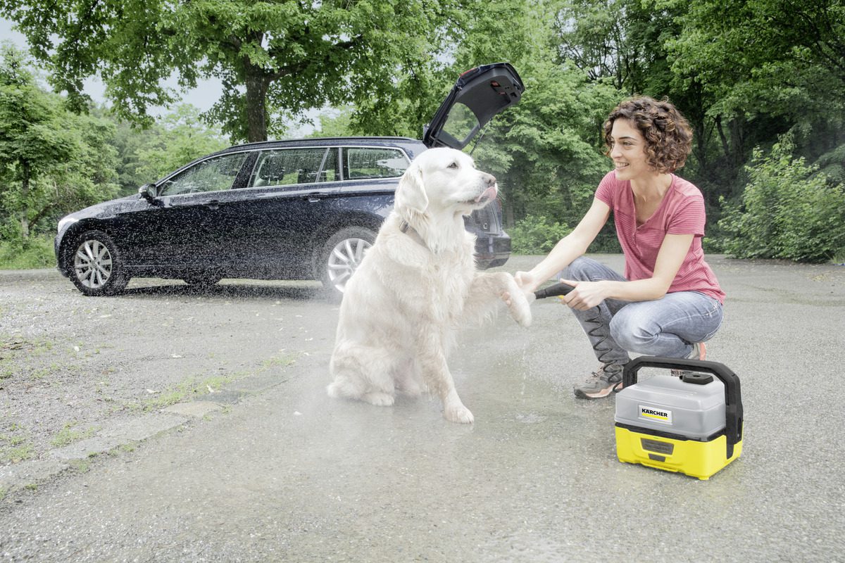 Pet box - Image 2