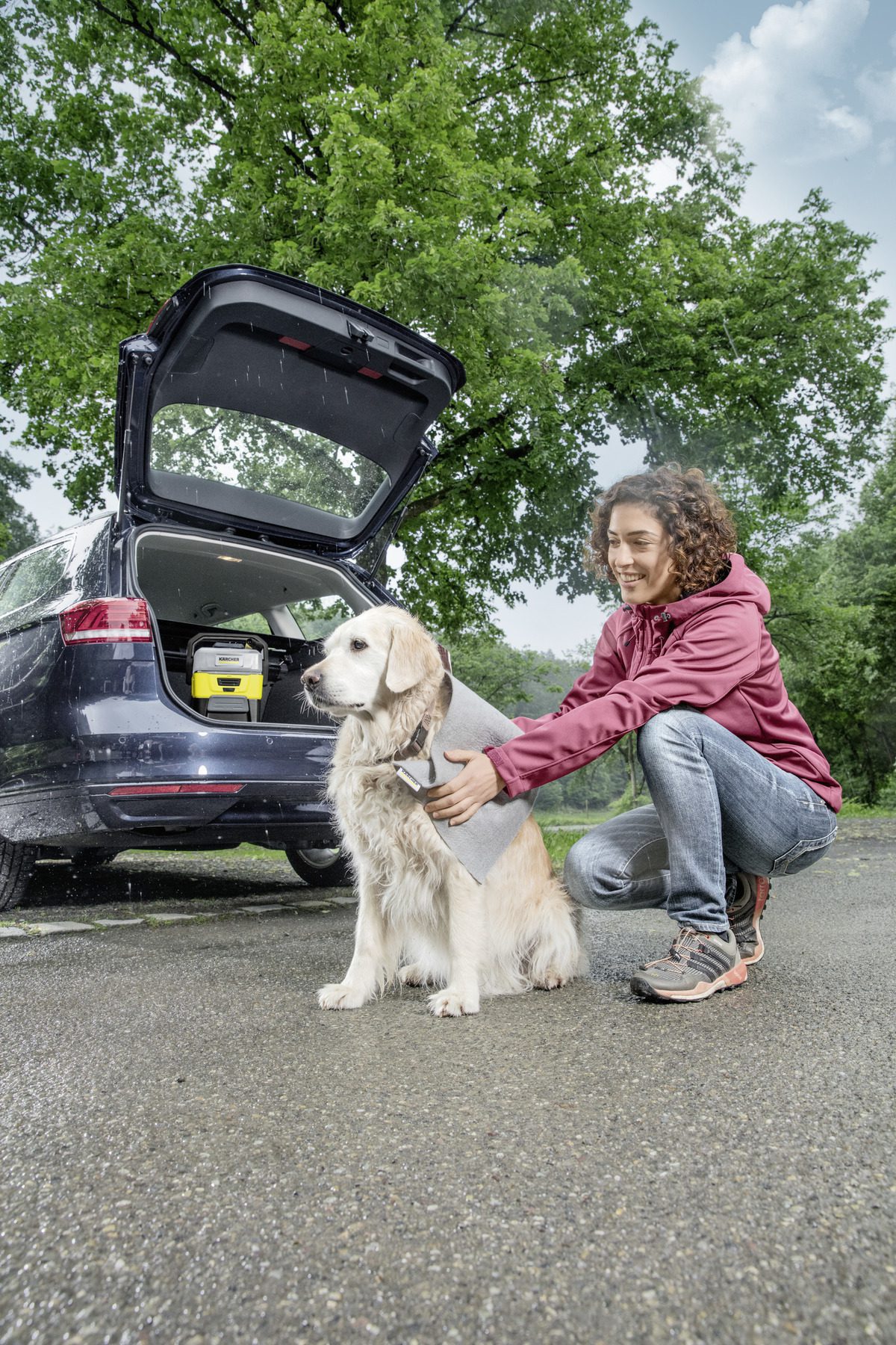 Pet box - Image 4